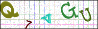 Image Verification