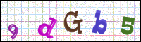 Image Verification